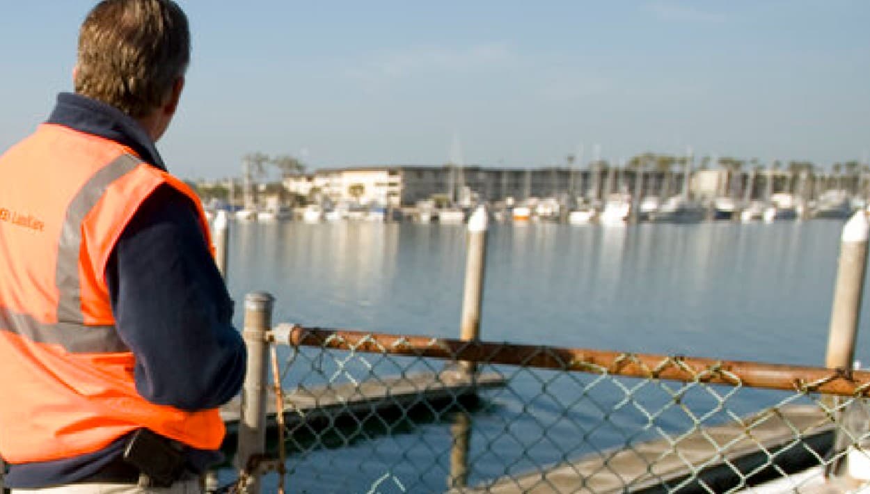 Teniente aplaude al capitán que estrelló un yate contra el malecón de Marina del Rey