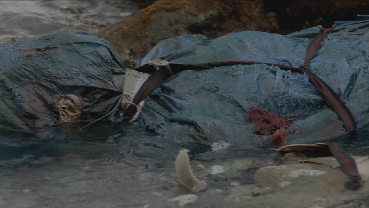 ¡Apareció el cuerpo de Abdu!