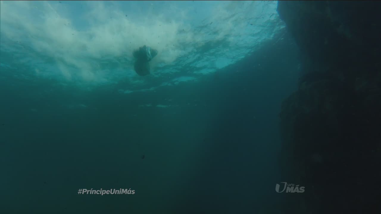 ¡Lanzaron a alguien al mar!