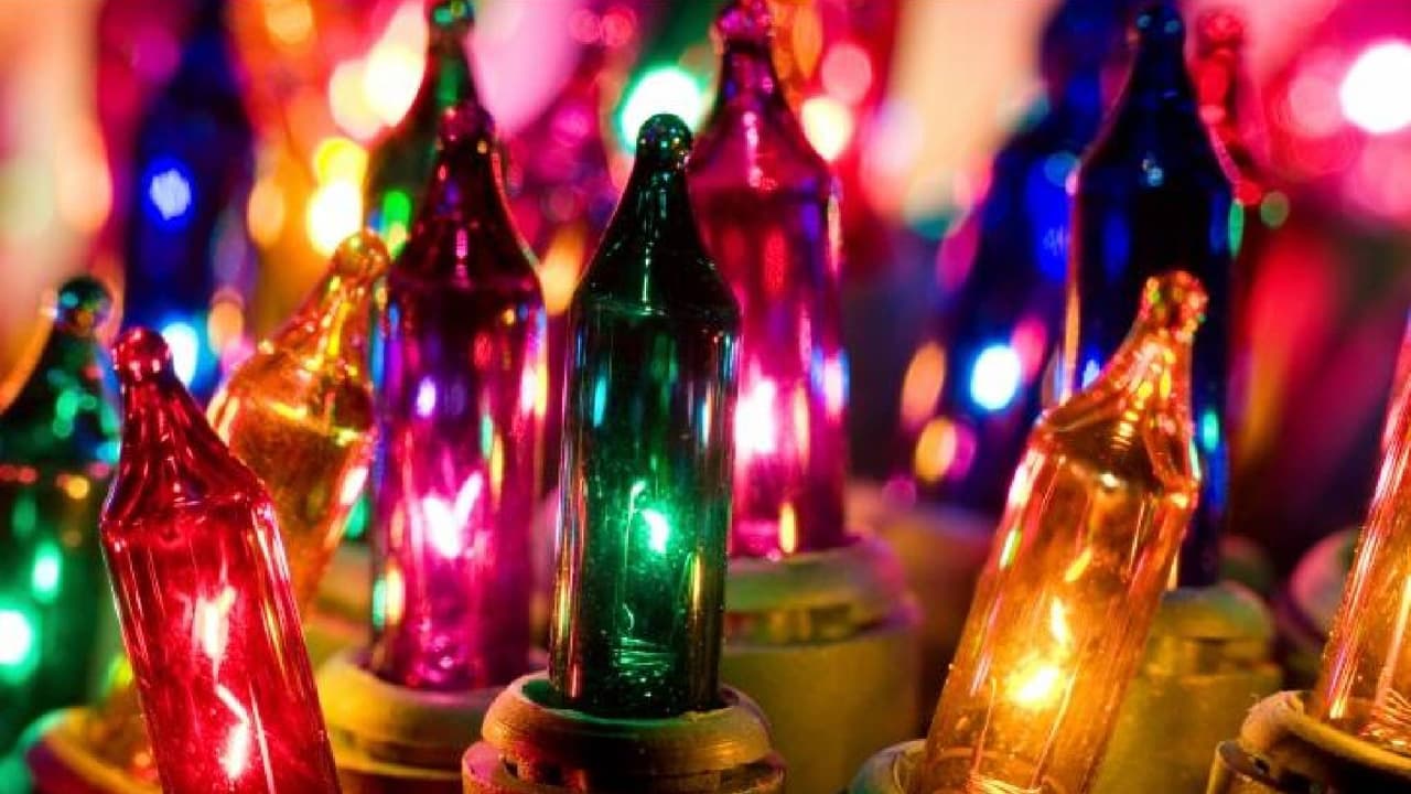 • Evite tender luces exteriores o cables eléctricos donde pueda haber agua de riego o aspersores. Verifique las etiquetas que muestren que las luces han sido certificadas para uso en exteriores. Deseche los juegos de luces que tengan enchufes rotos o agrietados, cables pelados o conexiones sueltas.