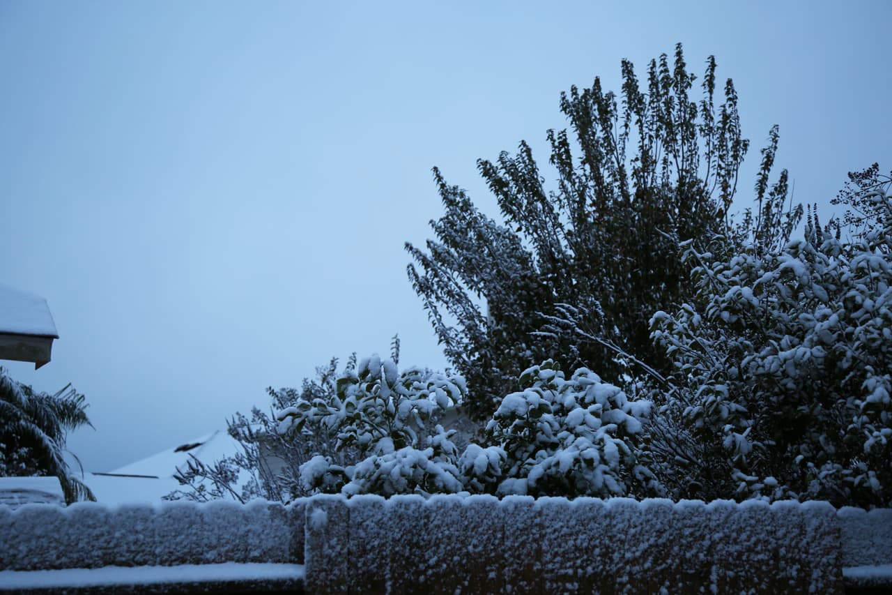 Los tejados, cercas, árboles y céspedes de vecindarios en la mayoría de los suburbios de Houston amanecieron cubiertos de nieve.