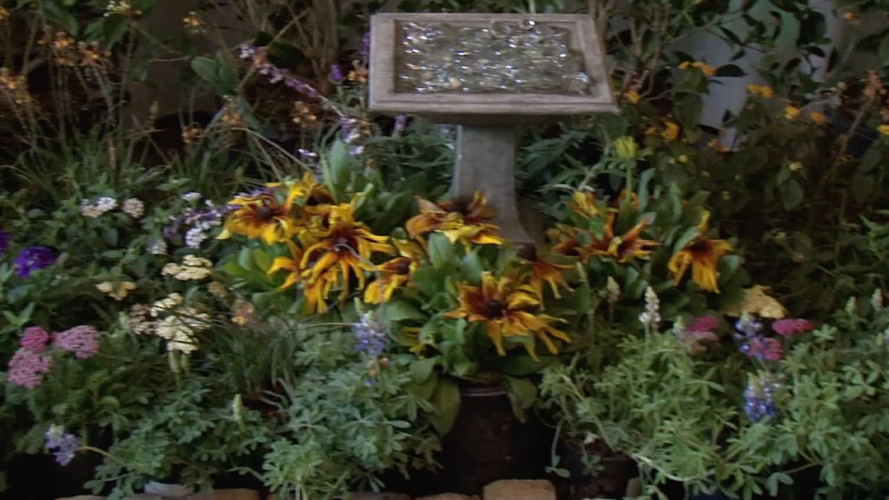 El recorrido abre sus puertas durante el fin de semana de 11:00 am a 5:00 pm.