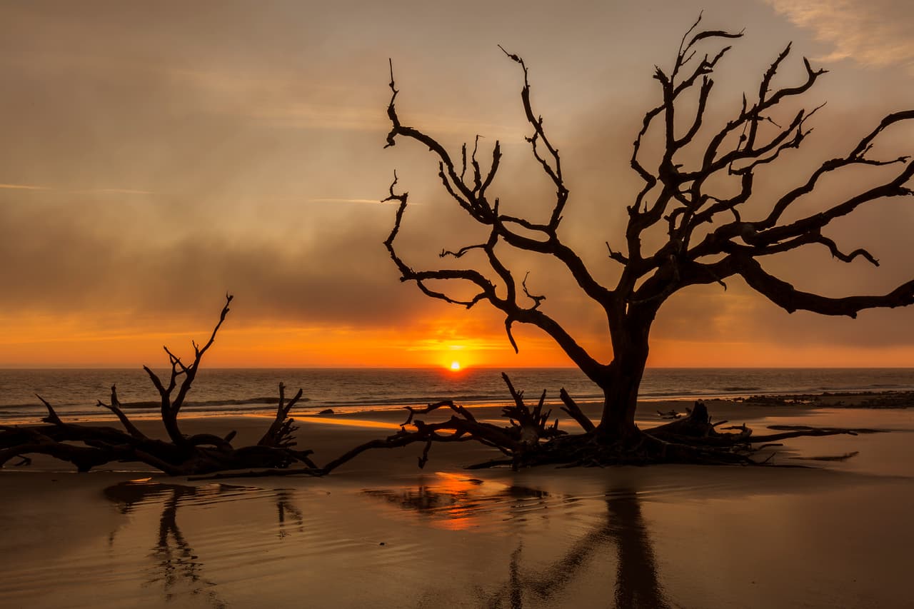 <b>Puesto 11.</b>
<b>Playa Driftwood, Isla Jekyll, Georgia.</b> “Puedo entender por qué filmaron 'The Walking Dead' aquí. Los robles son enormes. Una visita obligada ideal para fotógrafos”.