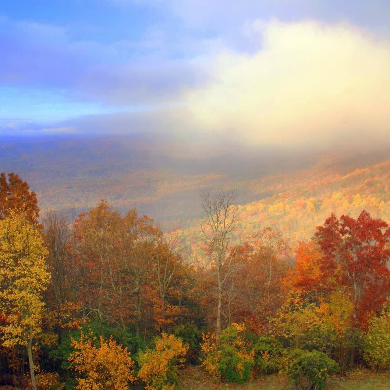 <b>Amicalola Falls</b>: Camina hasta las imponentes Amicalola Falls, la cascada más alta de Georgia, enmarcada en el colorido color de las hojas otoñales, y disfruta de las vistas desde la cima de las cataratas de las montañas de los Apalaches circundantes de hojas vibrantes. ¿Listo para un desafío? Extienda su caminata en el Approach Trail, recorriendo un colorido bosque hasta la cima de Springer Mountain y el resplandor más al sur del Appalachian Trail en Georgia.
