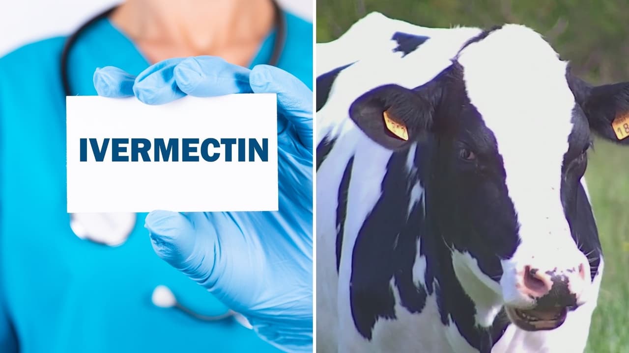 Advierten de envenenamientos por ingerir desparasitante de animales para tratar el covid-19