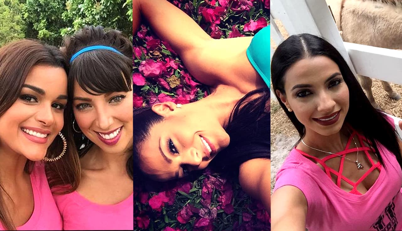 Durate la semana, las chicas tienen un rato para conectarse a sus redes sociales y compartir con sus seguidores lo que han hecho durante la semana. Sigue sus pasos y mira qué más han hecho.