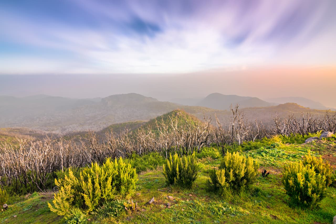 El parque de Garajonay, en La Gomera, una de las islas Canarias. Además del sinfín de sitios culturales, España tiene en la lista otras cuatro maravillas naturales y una mixta.
<br>