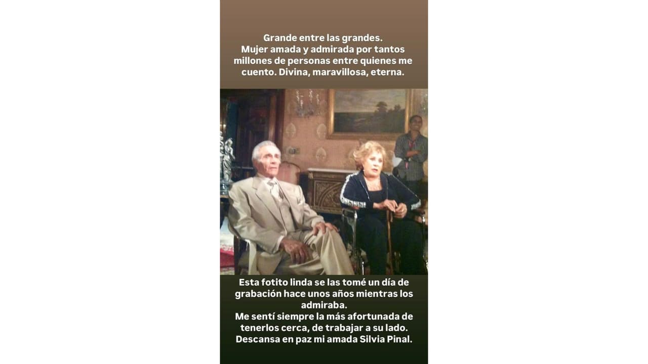 Lucero trabajó con Silvia Pinal en 2010, en la telenovela Soy tu dueña.
