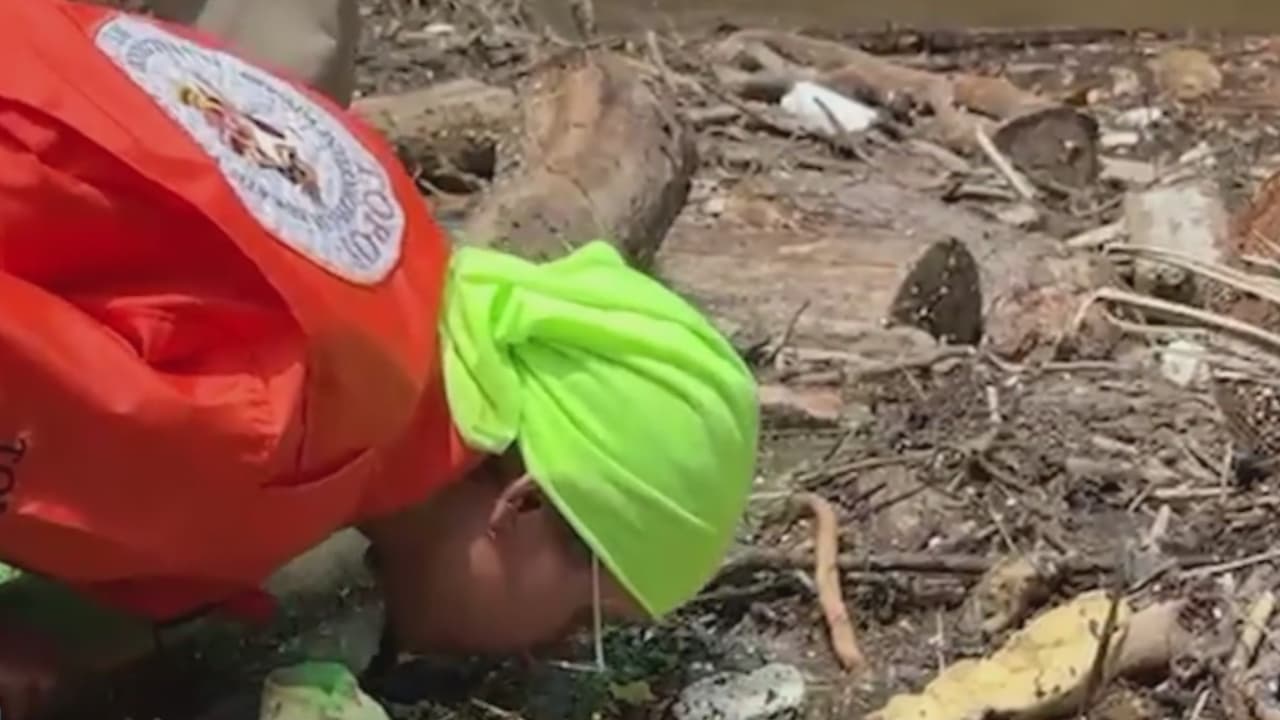 Topos de México buscan cuerpos cerca de un remolino de agua del río Guadalupe, en Kerrville