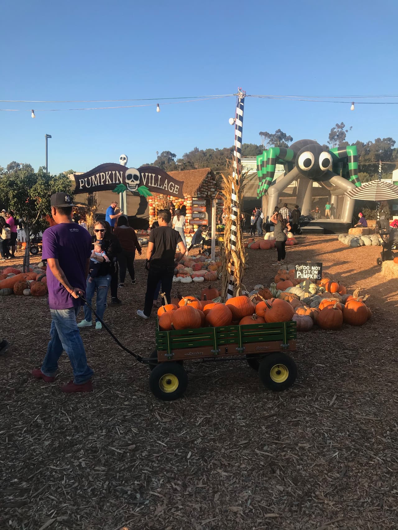 Muchos de estos populares granjas fueron cerradas debido a la pandemia, por lo que este año emprendedores locales tratan de retomar la tradición que marca las festividades del otoño y la popular noche de Halloween.