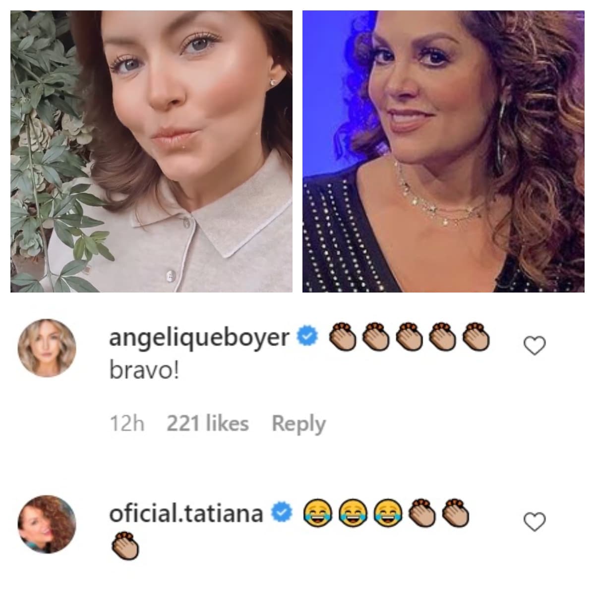 El chistoso comentario recibió respuesta por parte de algunos famosos como 
<b>Angelique Boyer</b> y 
<b>Tatiana</b>. 
<br>