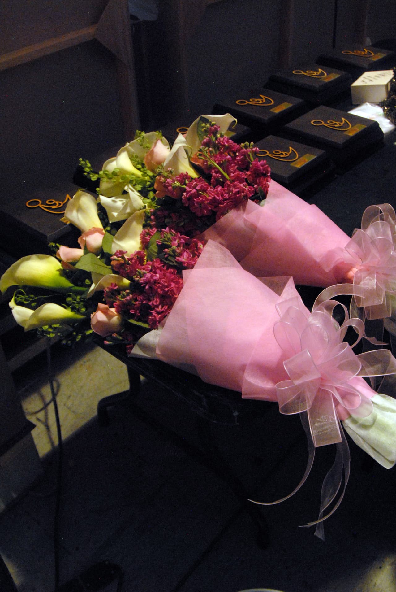 Cuando pensábamos que todo estaba por terminar, la entrega de reconocimientos se convirtió en otra fase de emociones, ya que fueron dados por gente muy especial.