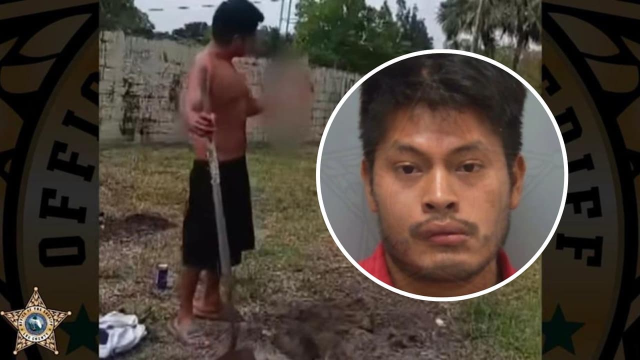 Hombre es arrestado en Florida por matar a un gatito: lo lanzó al suelo y dijo que mataría más