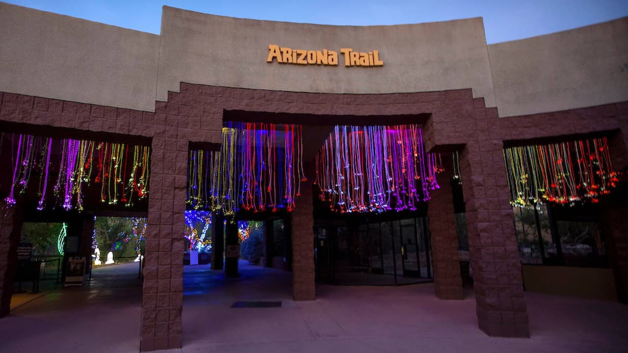 El espectáculo de luces es un recorrido atractivo para las familias de la ciudad y visitantes.