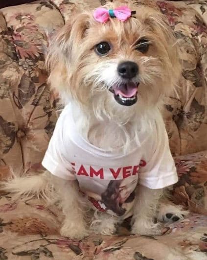 Tiene una mascota que se llama 'Motita".