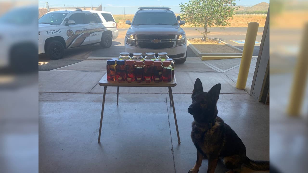 Autoridades en Arizona detienen un auto que supuestamente entregaría una carga de aceite de marihuana en California