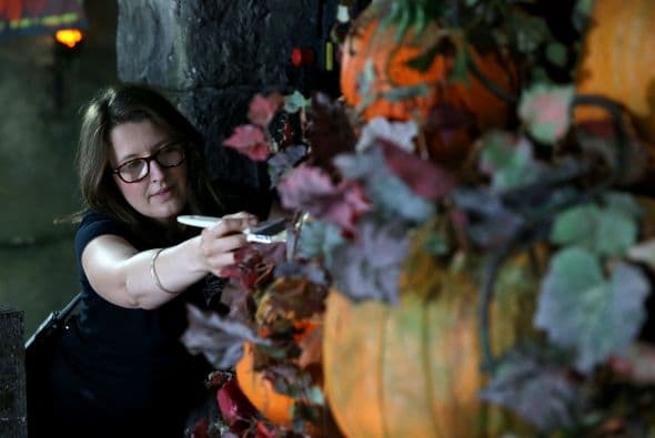 Se podrá disfrutar de un ambiente terrorífico y mucha diversión.