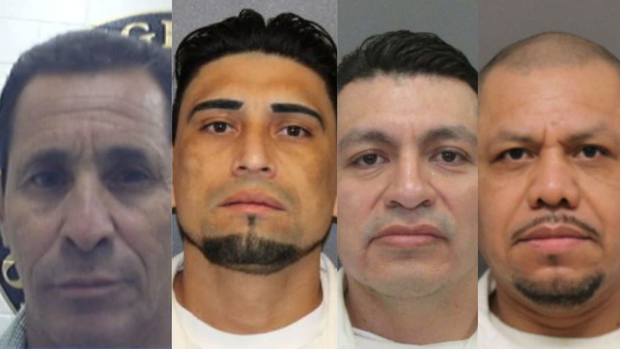ICE arresta a 214 indocumentados condenados por delitos sexuales contra niños de Houston