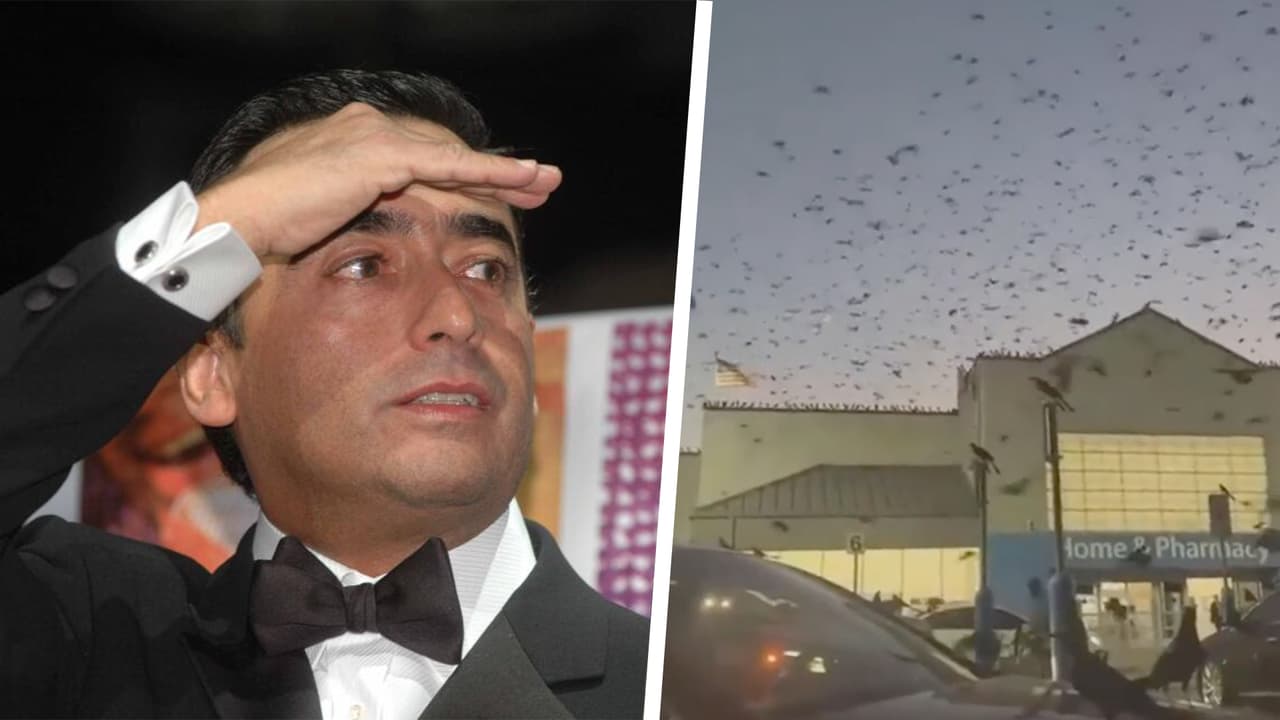 Adal Ramones aterrorizado por bandada de pájaros: Asegura que es un mal presagio