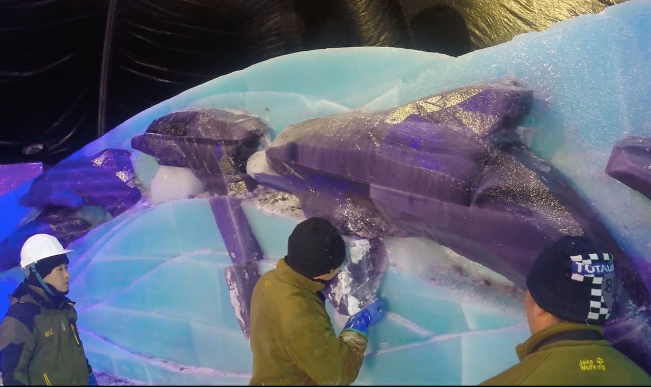 La exhibición 'Navidad Caribeña' del Moody Gardens recreará un mundo submarino, con delfines, tortugas marinas, manta rayas, peces tropicales, tiburones, entre otros.