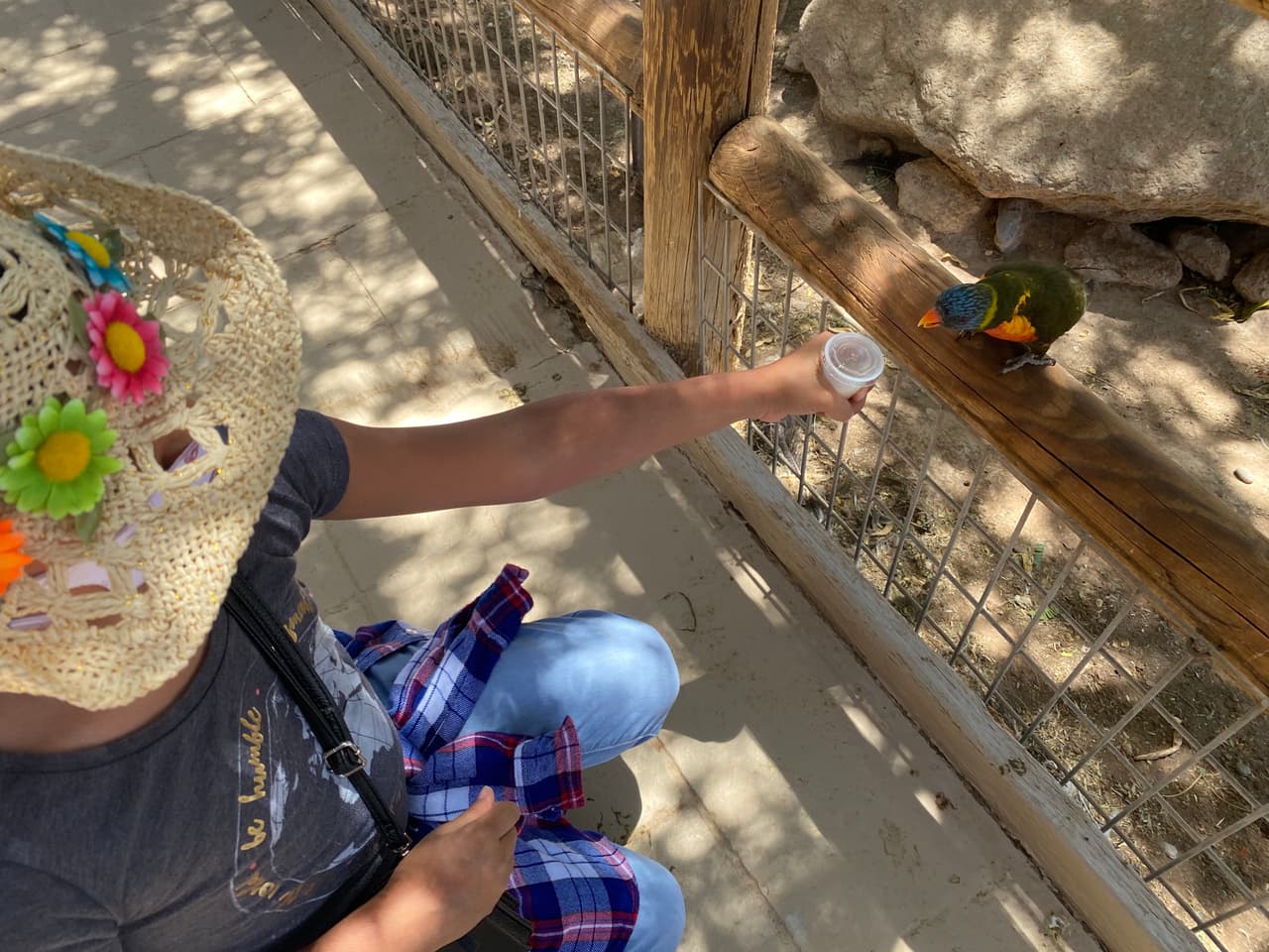 Granja The Rooster Cogburn en Oro Valley, Arizona.