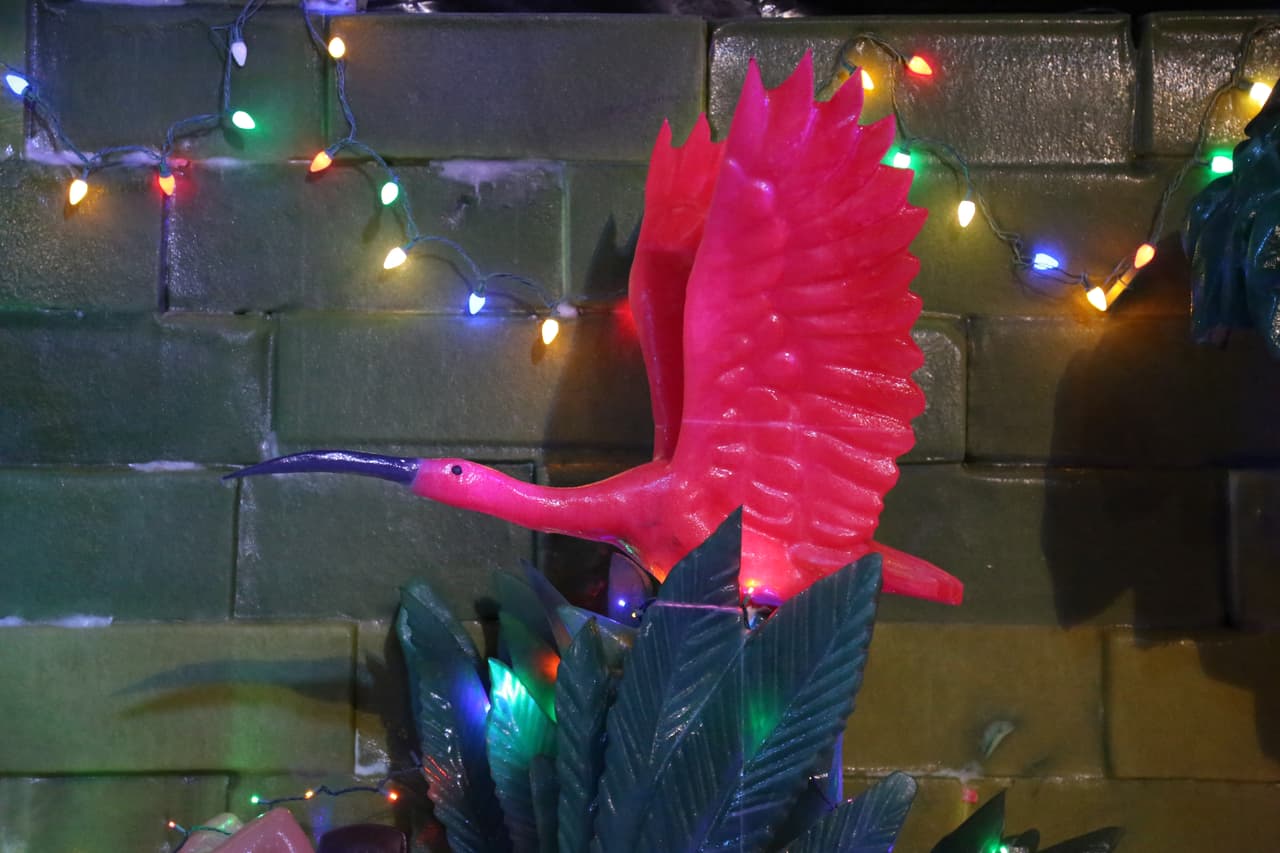 Un ibis escarlata, o garza roja, a punto de emprender vuelo.