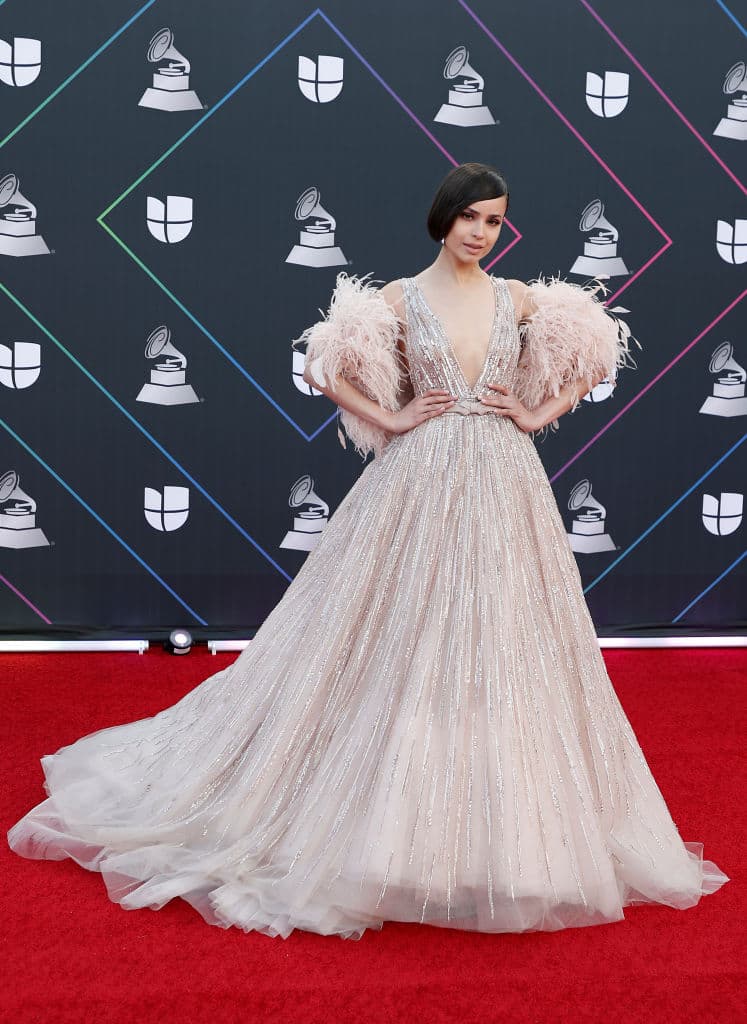 La cantante y actriz 
<b>Sofía Carson</b> llegó con un vestido largo con plumas en las mangas que le dieron un toque de elegancia.
<br>