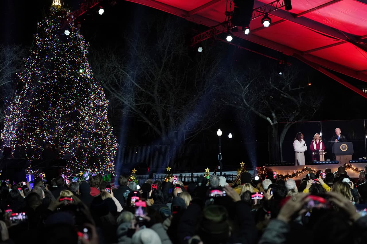 Este árbol es un abeto noruego de 40 pies o 12 metros de alto, plantado hace unas dos semanas.