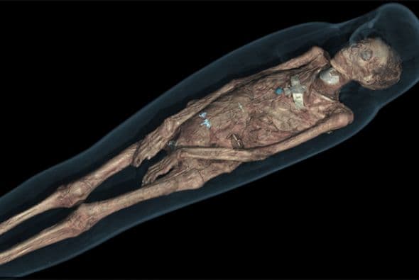 Las momias fueron seleccionadas entre todas las del museo para cubrir un espacio de tiempo de 4.000 años, desde el 3,500 Antes de Cristo hasta el 700 Después de Cristo. (Crédito: British Museum)