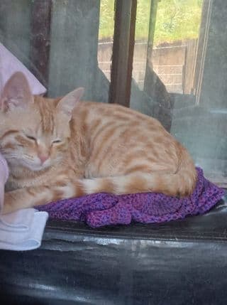 Michin es el consentido de Maribel de la Torre.