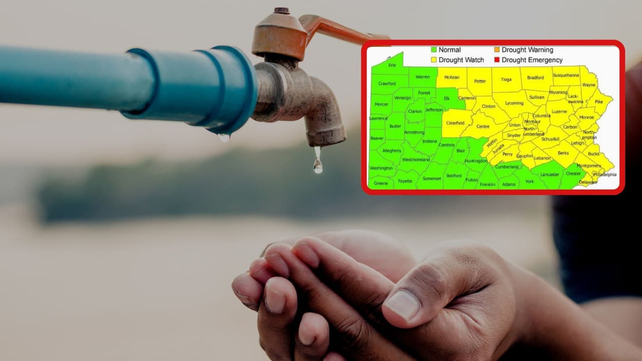 No fue suficiente la lluvia: alerta por sequía en vigor para 36 condados en Pensilvania