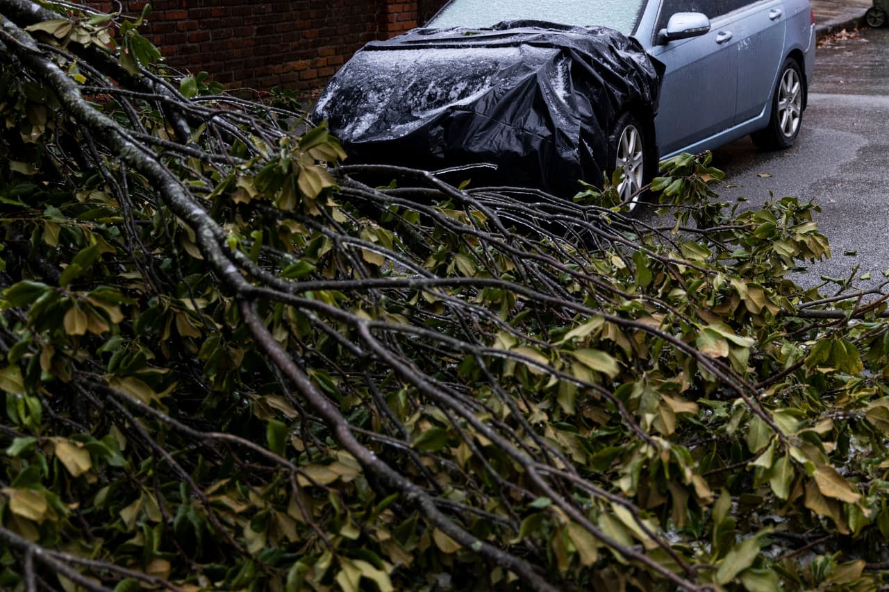 Un árbol que cayó por la tormenta bloquea una calle de Memphis, Tennessee, el 3 de febrero. Desde Nuevo México hasta Maine se han activado alertas de tormentas invernales.