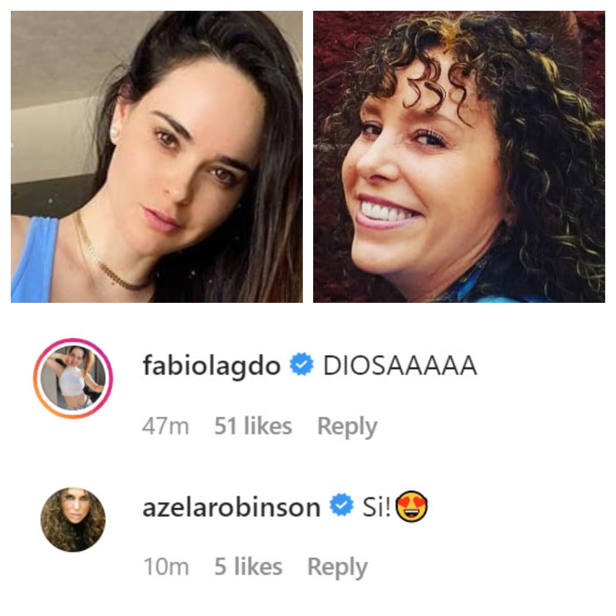 La foto provocó comentarios favorables por parte de sus fans y algunas famosas como las actrices Fabiola Guajardo y Azela Robinson. 
<br>