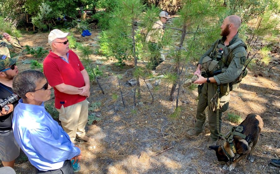 Carteles mexicanos usan un mortal pesticida para cultivar marihuana en los bosques de California