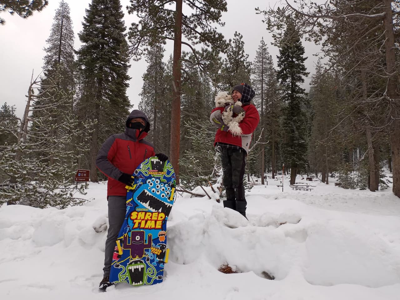 Las acumulaciones de nieve fueron de entre 6 a 12 pulgadas a 5,000 pies de altura en zonas de montañas. Para demostrarlo, Álvaro Toledo, amigo de 
<a href="https://www.univision.com/local/los-angeles-kmex/">Univision Los Ángeles</a> en Facebook, compartió esta postal desde Wrightwood en las montañas de Angeles Forest a unas 76 millas al norte de la ciudad de Los Ángeles.