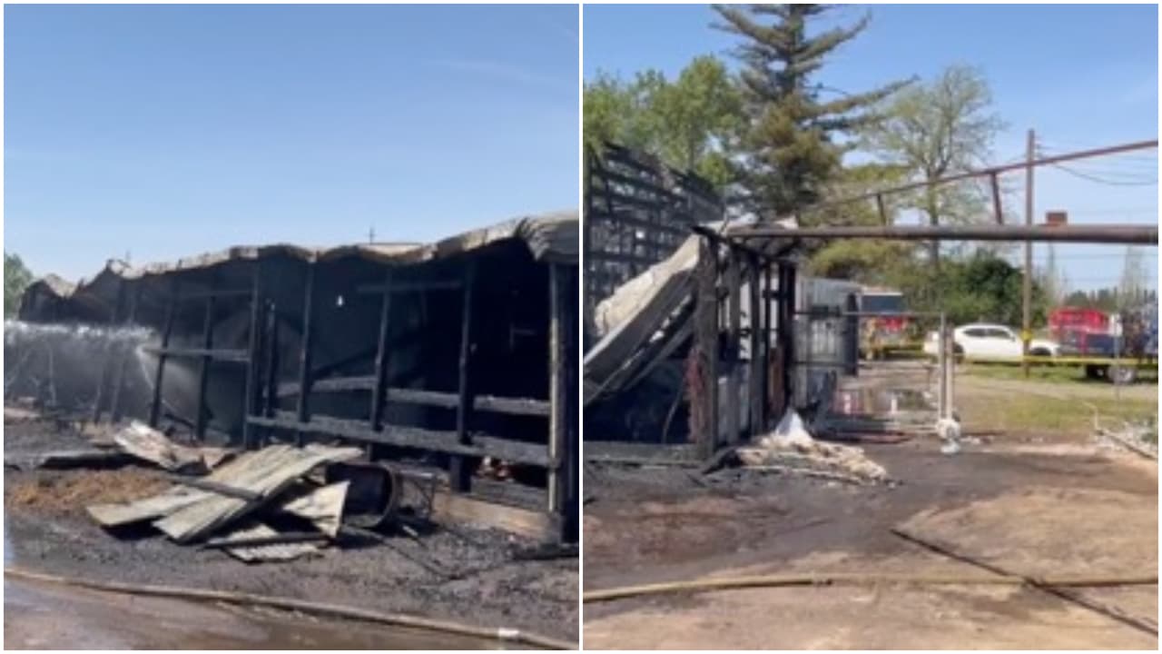 Varios animales, entre ellos 10 caballos, mueren calcinados en un incendio al sur de Sacramento