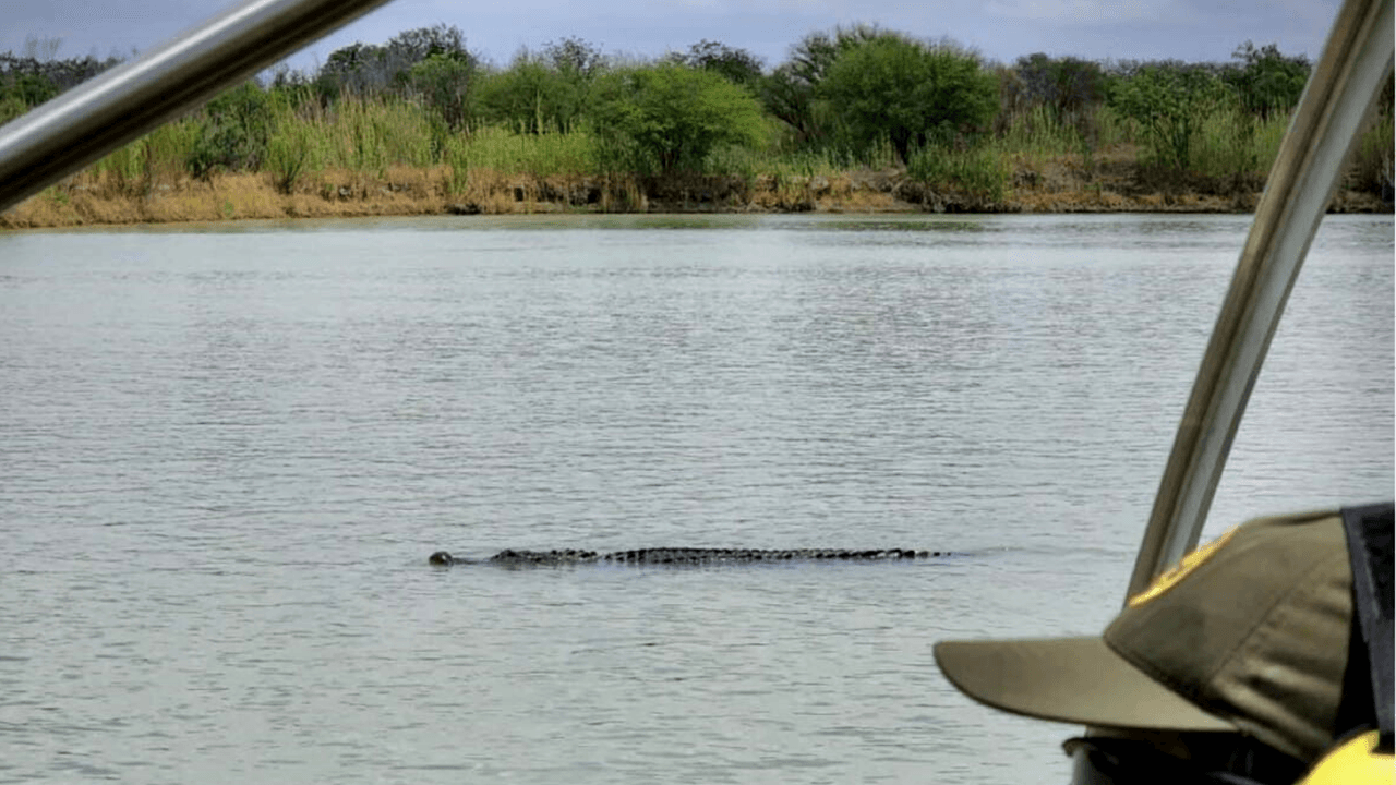 La agencia compartió su foto en Facebook.