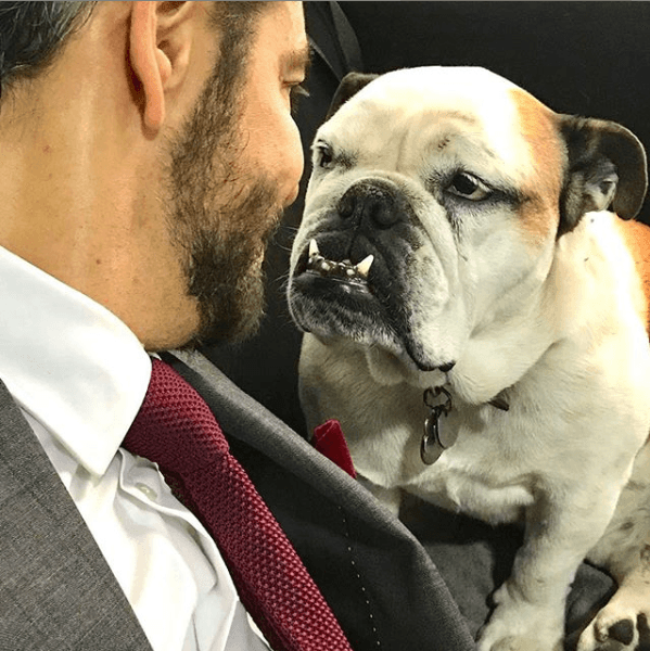 La perrita, quien además tiene su propia cuenta de
<a href="https://www.instagram.com/fionaderbez/" target="_blank">Instagram</a>, está totalmente autorizada para viajar en los aviones, incluso, tiene su propio 'pasaporte' para viajar a México, explicó Derbez.