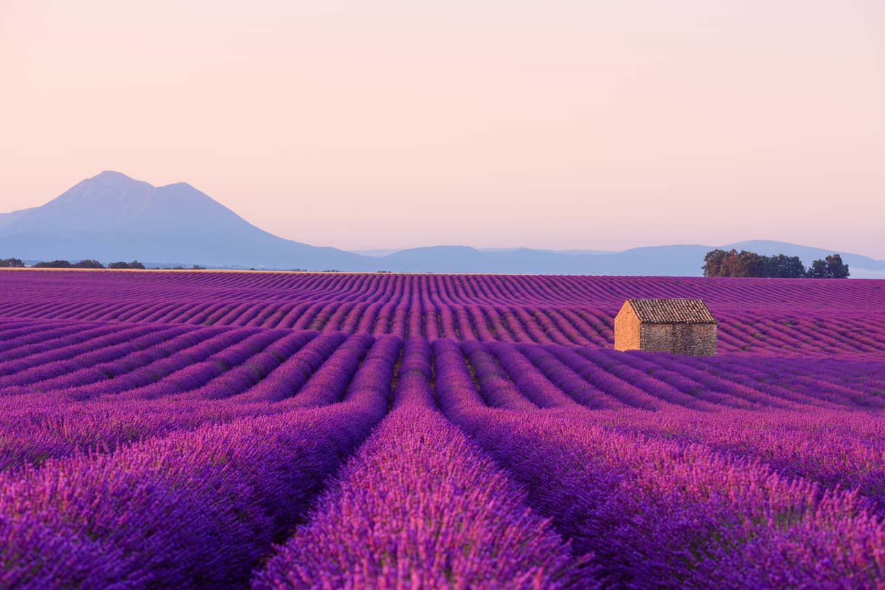 <b>Provence, Francia</b>
<br>
<br>Los inmensos campos de flores púrpuras de lavanda hacen de la Provence una de las regiones francesas más pintorescas. En la zona el aceite de esta flor se embotella para jabones, lociones y cremas, sin embargo, el paisaje es el verdadero atractivo.
<br>