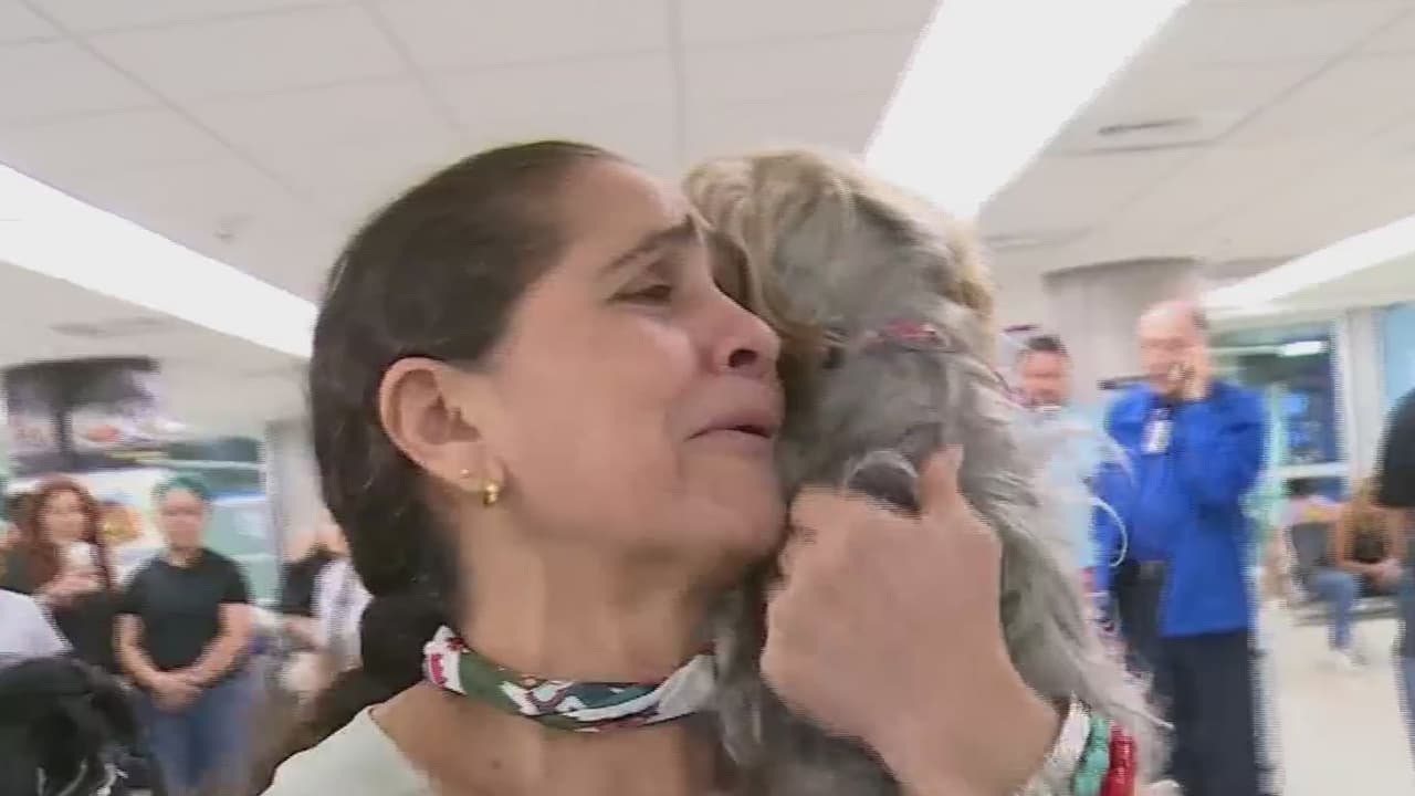 Se reencuentra con su mascota tras 6 años de haber huido de su país