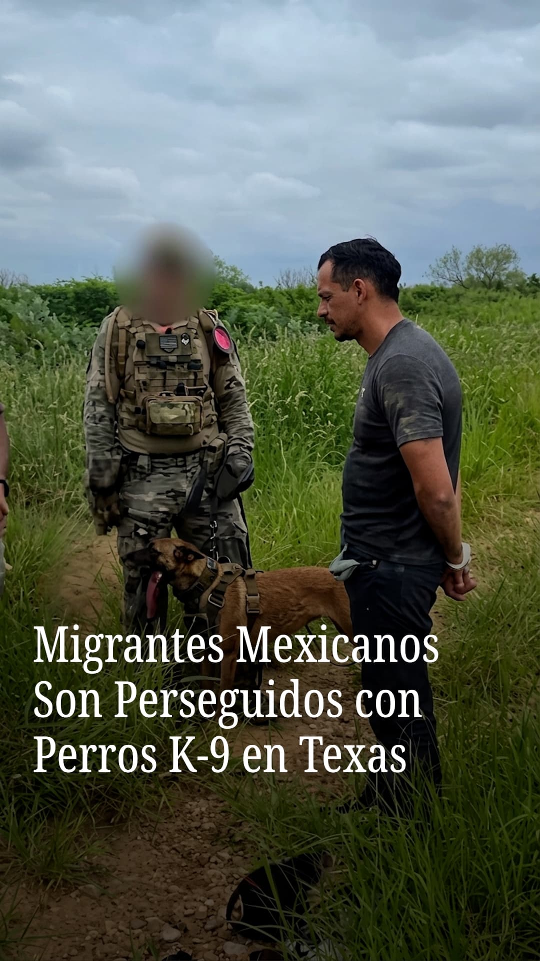 Migrantes mexicanos son perseguidos con perros K-9 en Texas