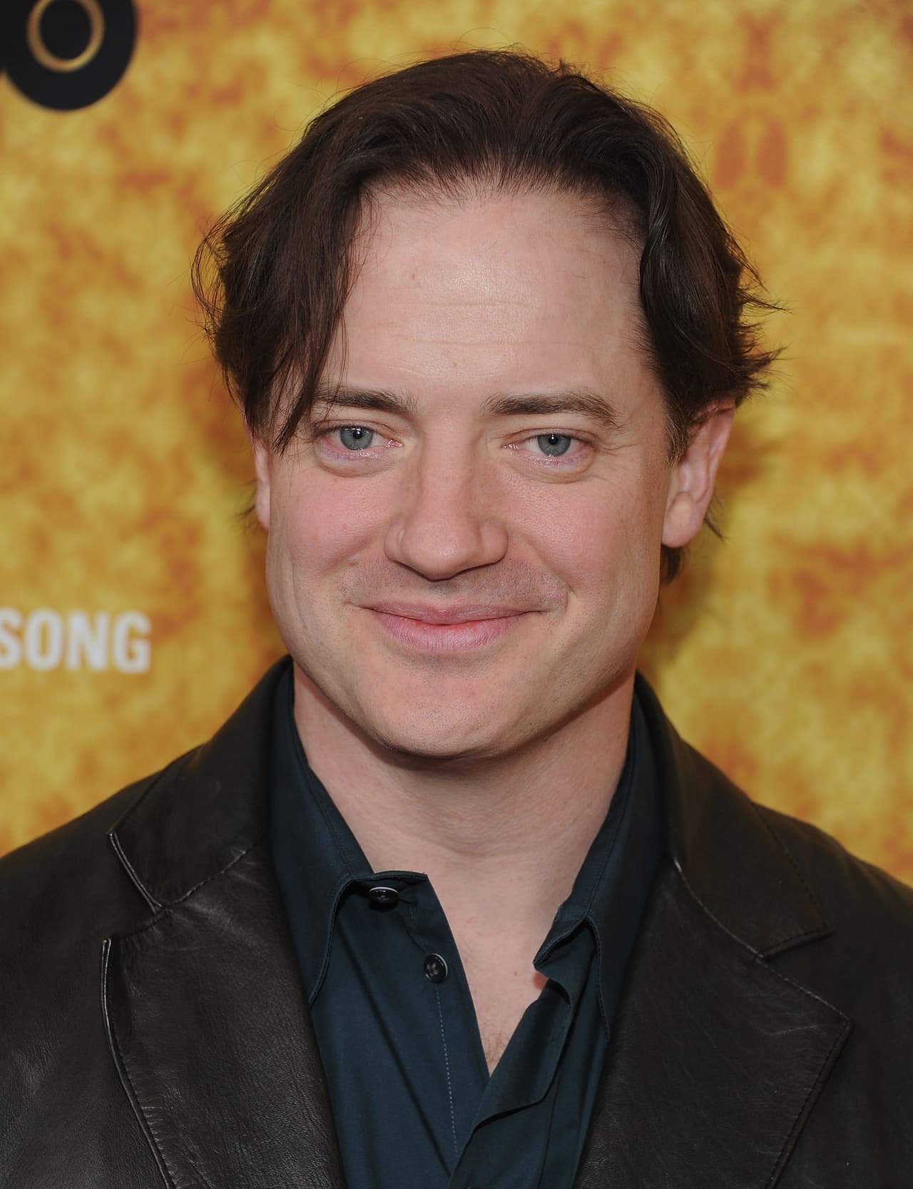 Una serie de fracasos en taquilla le impidió seguir su lucrativa carrera. 'Extrardinary Measures', una película con un presupuesto de 30 millones de dólares, recaudó solo 12 millones en 2010 y la suerte no mejoró para el actor.