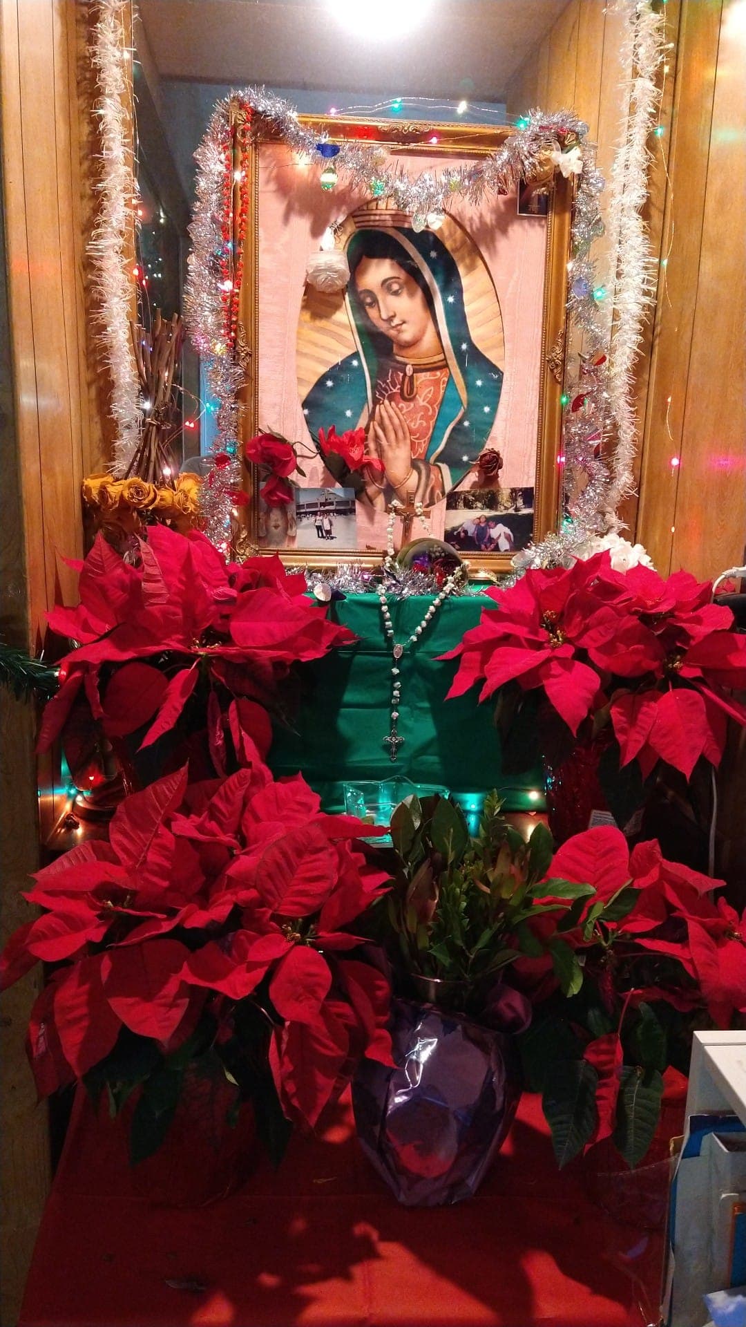 Con noche buenas y algunas decoraciones navideñas es la ofrenda de Marulú Hernández a la Virgen de Guadalupe.