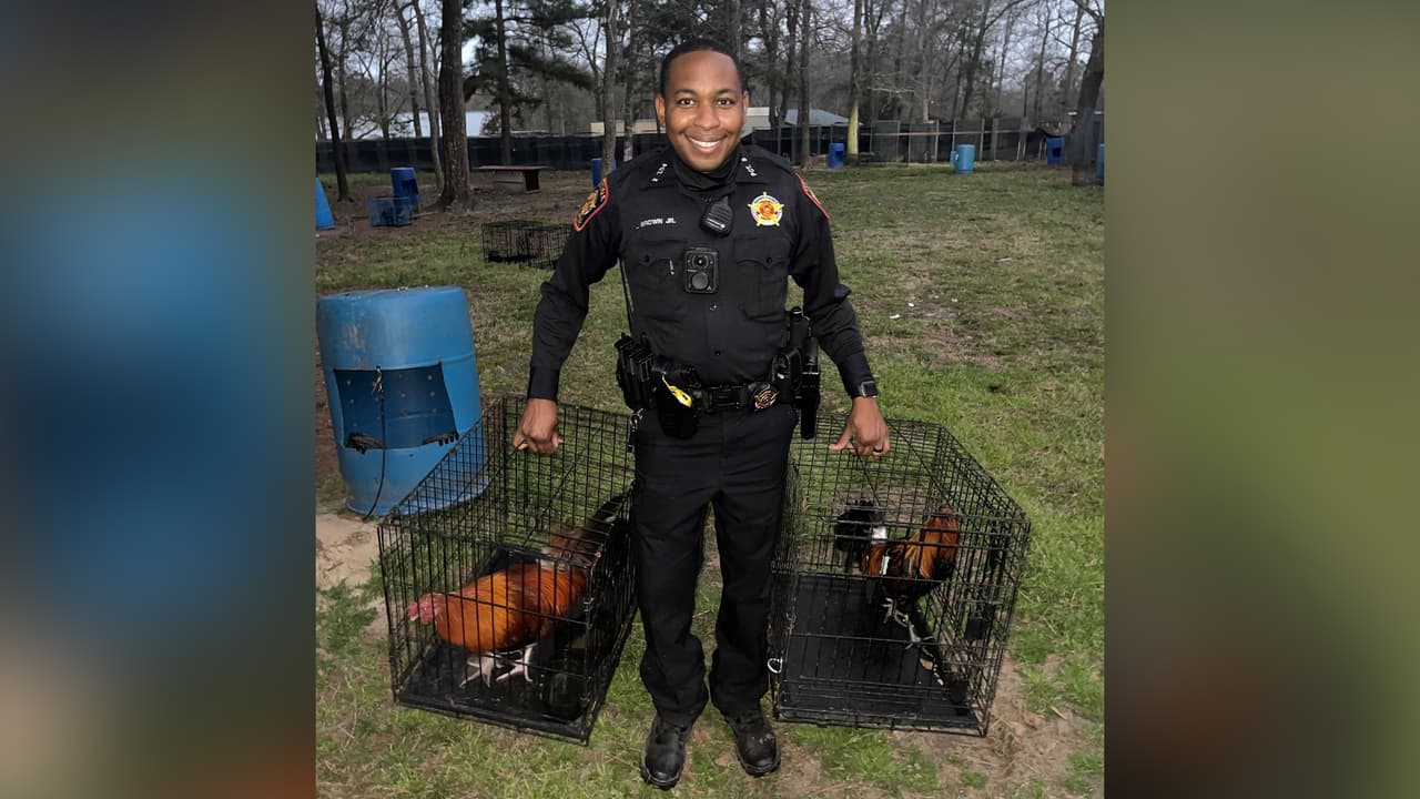 Hasta el momento siete personas están bajo custodia pero las autoridades no descartan la posibilidad de realizar más arrestos.