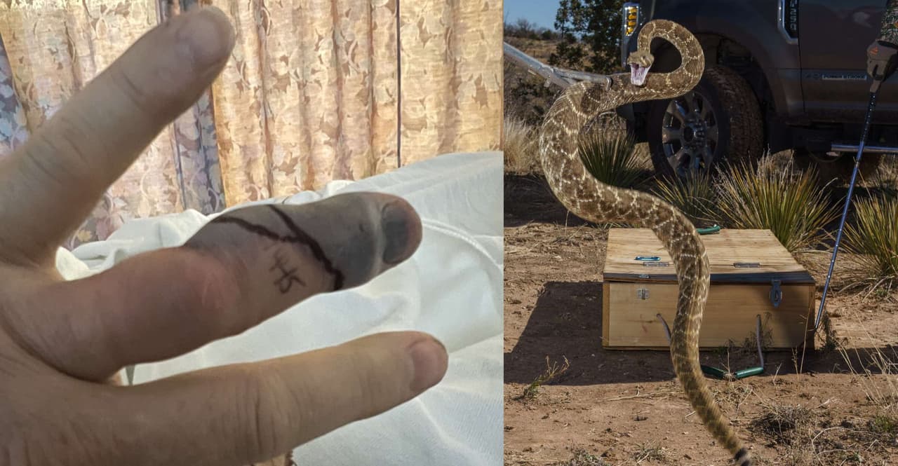 Elwes estaba trabajando en el jardín de su casa en Malibú cuando fue atacado por una culebra cascabel, según la Autoridad de Conservación y Recreación de las Montañas (MRCA).