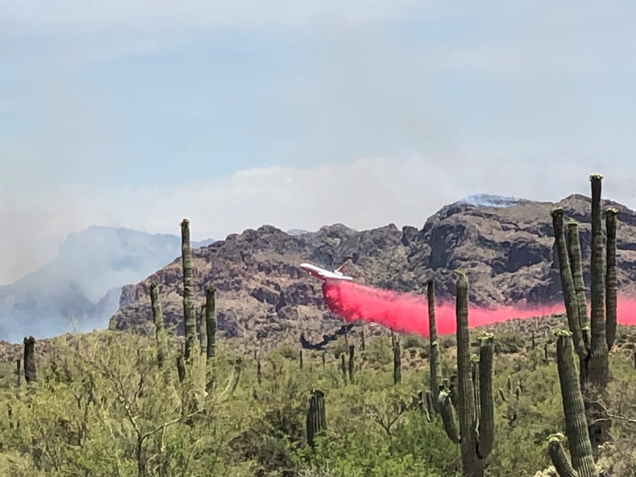 Equipos están luchando contra el incendio por el aire y tierra.
<br>