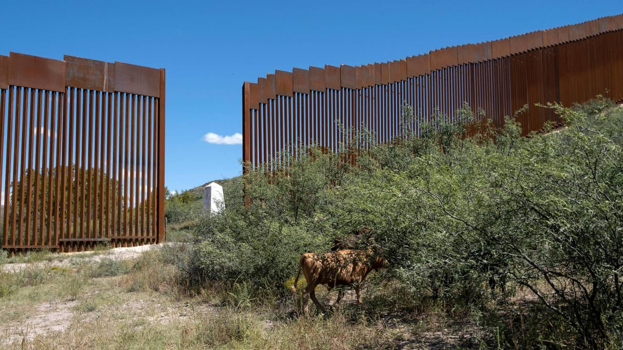 San Luis Río Colorado en Sonora se prepara para recibir a 2,000 migrantes en caso de deportaciones masivas