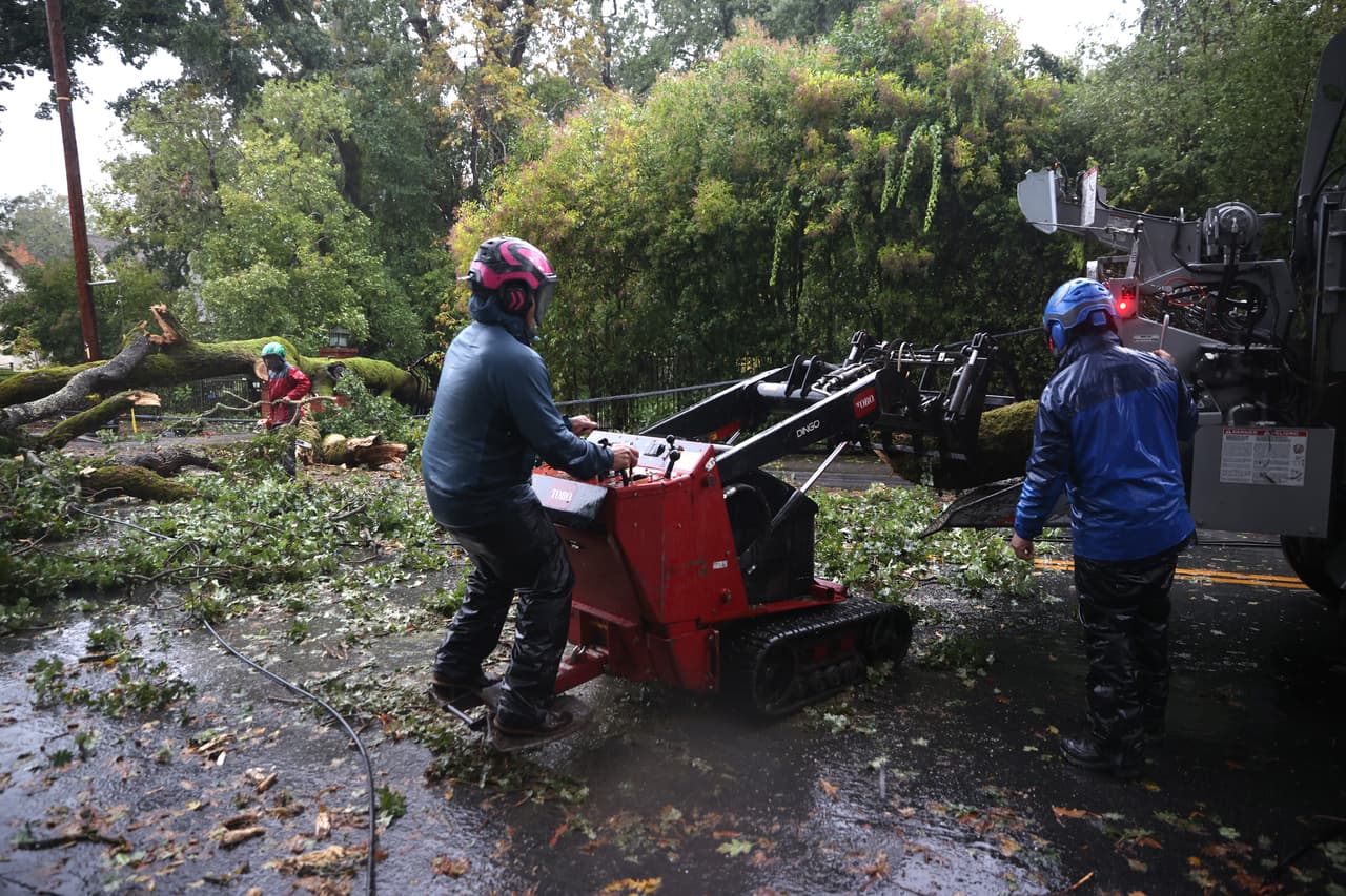 <b>Ross.</b> Trabajadores cortan un árbol que cayó a través de una carretera en Ross, California.