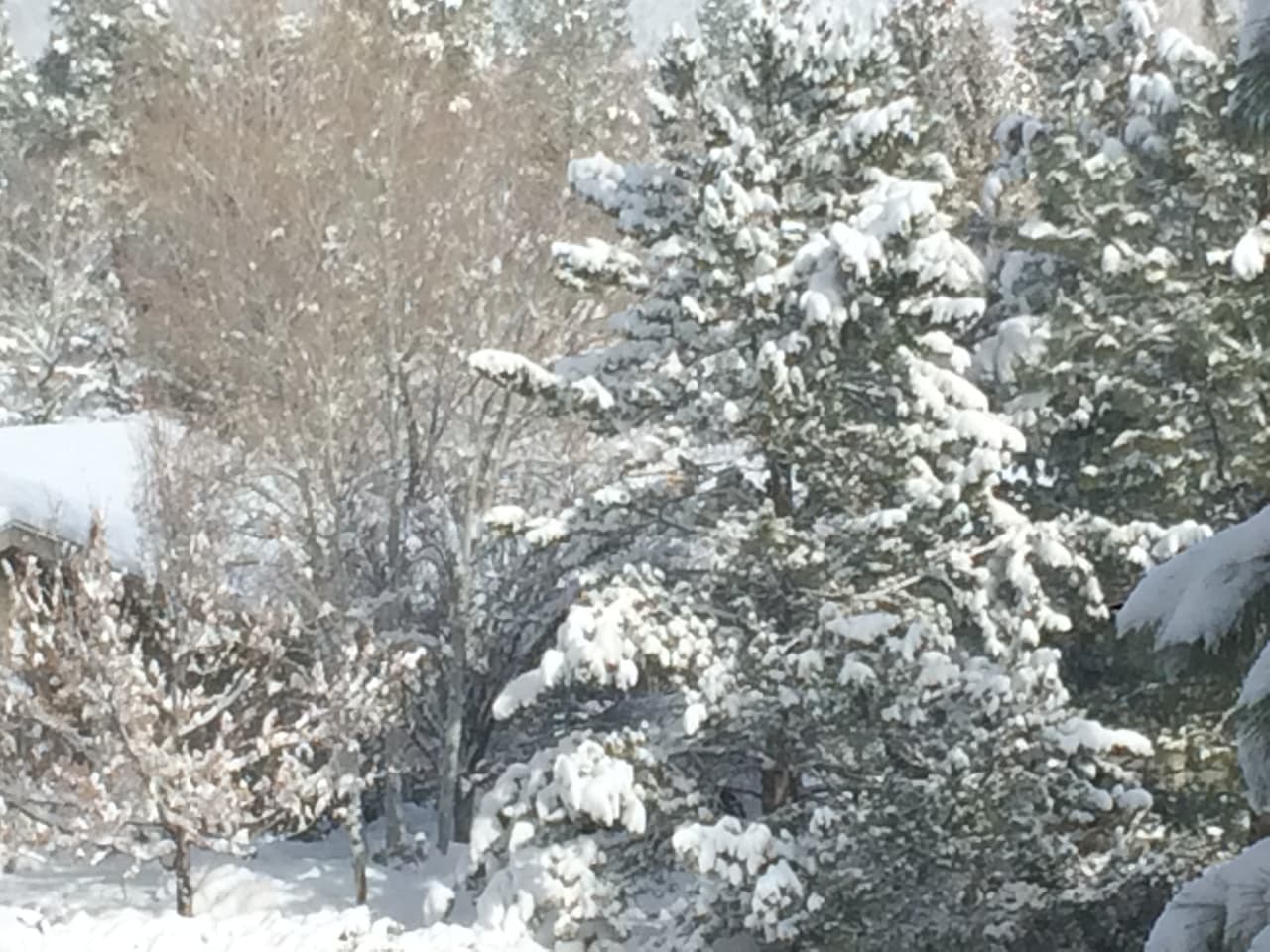 Para las próximas horas seguirán las precipitaciones y nevadas en gran parte del estado. Durante el viernes se espera tiempo severo en zonas del noroeste, con temperaturas máximas 62 grados.
<br>