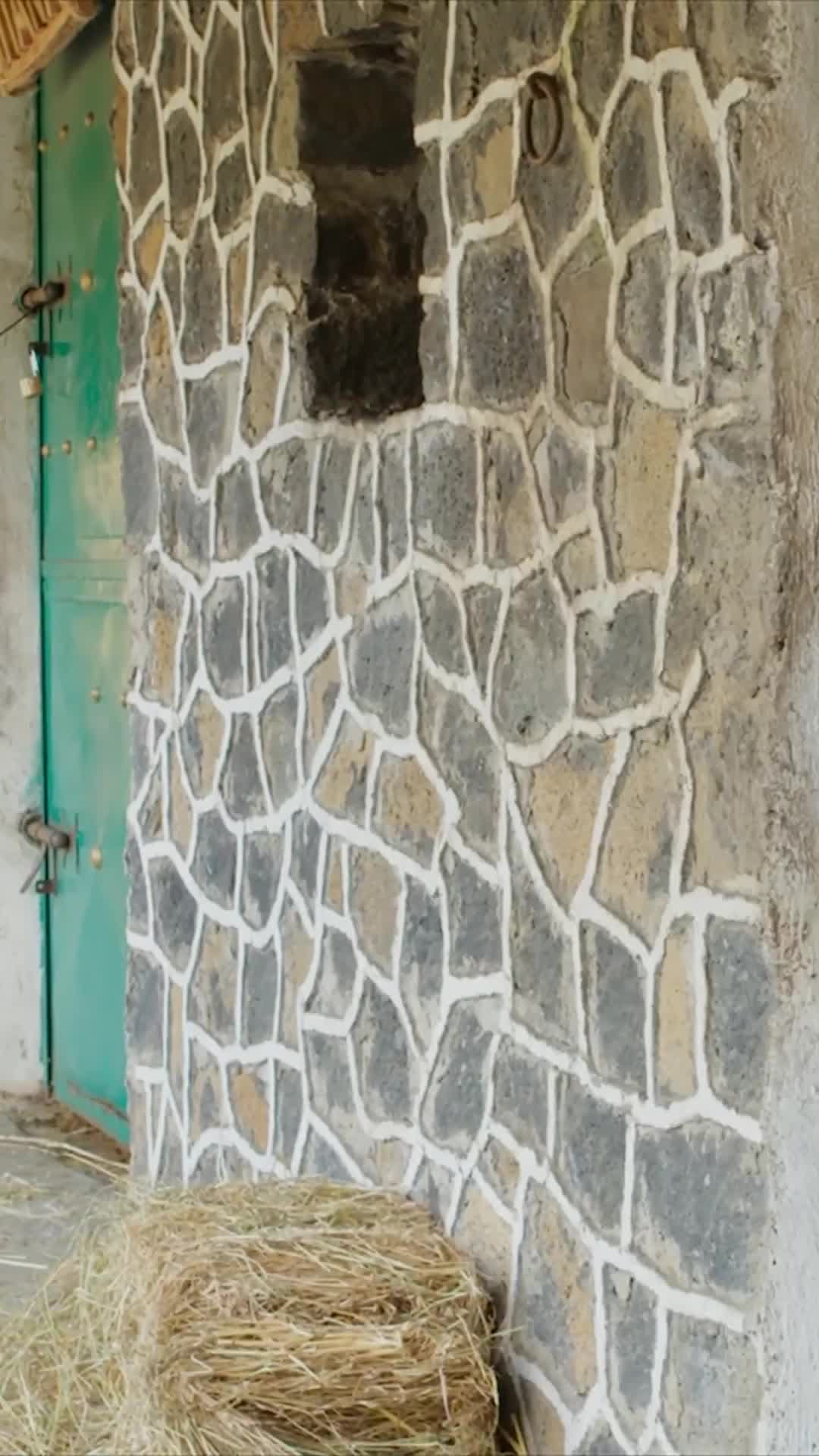 Memo se convierte en croquetas